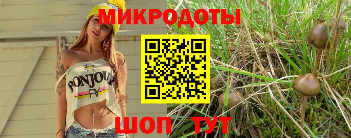 Псилоцибиновые грибы Magic Shrooms  Вход с VPN  Малоярославец 